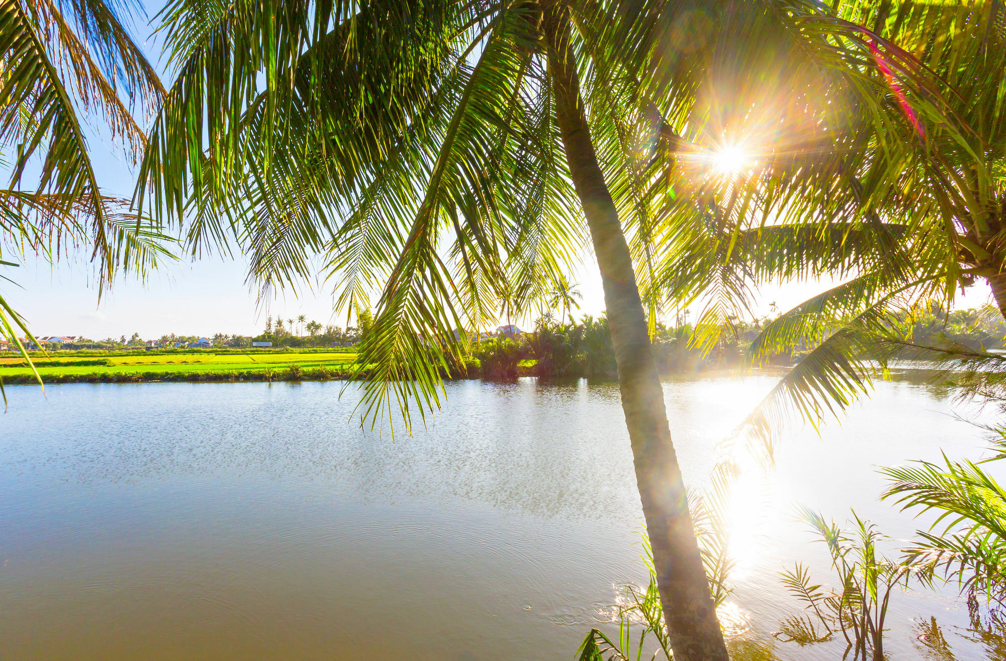Do River Homestay Hoi An Exterior photo